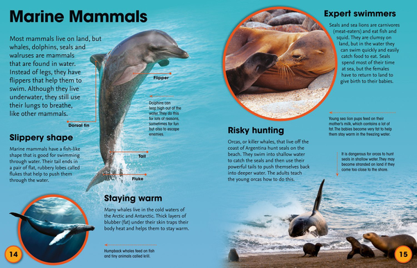 Паперова книга «Fascinating Facts: Animals» - фото №1