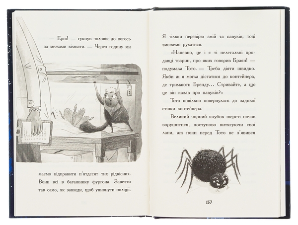 [object Object] «Тото. Кішка-ніндзя та велика втеча змія. Книга 1», автор Дермот О'Лири - фото №5 - миниатюра