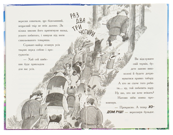 [object Object] «Тото. Кішка-ніндзя і легенда про дикого кота. Книга 5», автор Дермот О'Лири - фото №6 - миниатюра