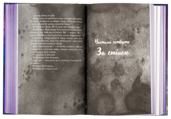 Бумажная книга «Галант», автор В. Е. Шваб - фото №1