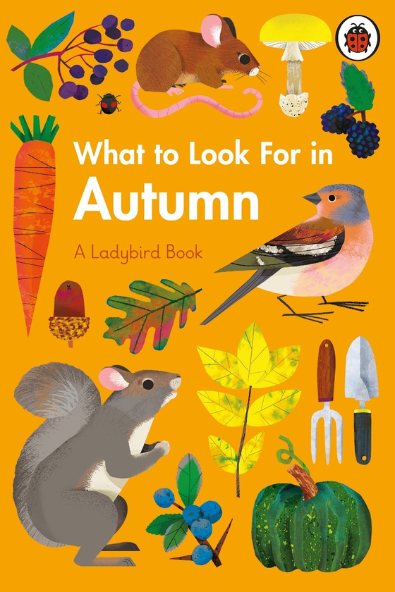 Паперова книга «What to Look For in Every Season. A Ladybird Book Boxset», автор Елізабет Дженнер - фото №1