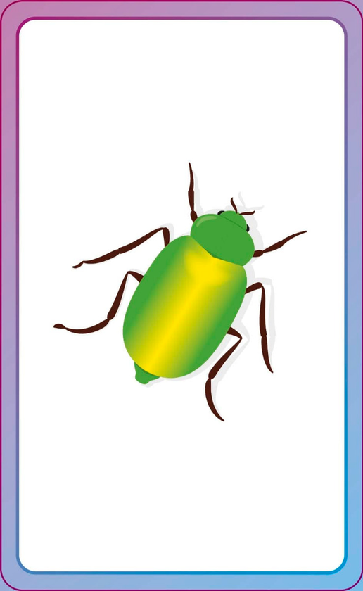 Бумажная книга «English for Everyone Junior: First Words Animals Flash Cards» - фото №1