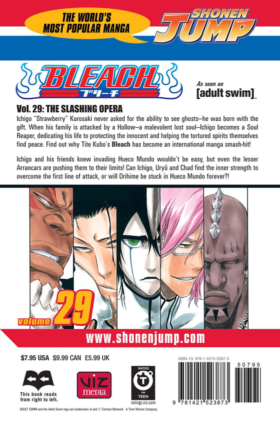 Паперова книга «Bleach. Volume 29», автор Тайто Кубо - фото №1