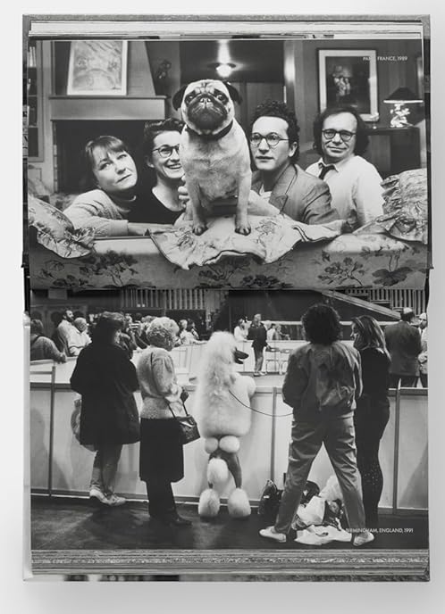Паперова книга «DogDogs», автор Елліот Ервітт - фото №1