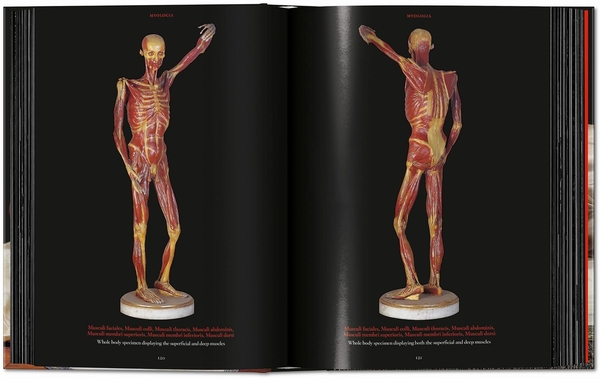 Бумажная книга «Anatomical Waxes», автор Марта Поггеси - фото №1