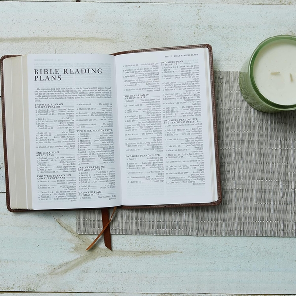 Бумажная книга «NRSV Catholic Edition Gift Bible», автор Католическое библейское издательство - фото №1
