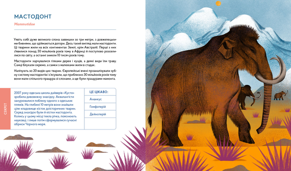 Бумажная книга «Українське цікавознавство (комплект із 3 книг)», авторов Галина Ткачук, Валентина Вздульская - фото №1