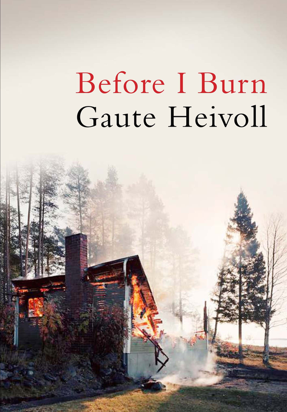 Бумажная книга «Before I Burn», автор Гауте Хейволл - фото №1