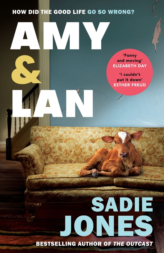 Паперова книга «Amy and Lan», автор Седі Джонс - фото №1