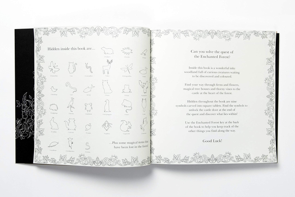 Бумажная книга «Enchanted Forest. An Inky Quest and Colouring Book», автор Джоанна Басфорд - фото №1