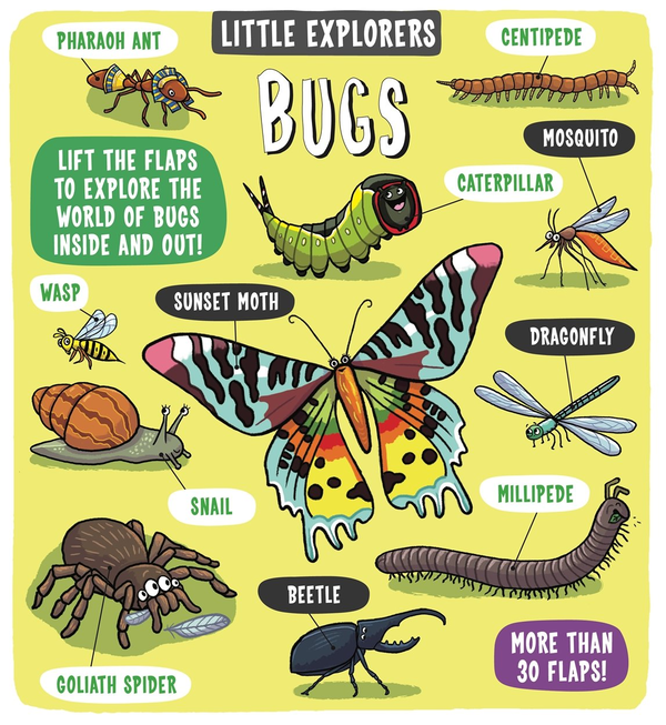 Паперова книга «Little Explorers: Bugs» - фото №1