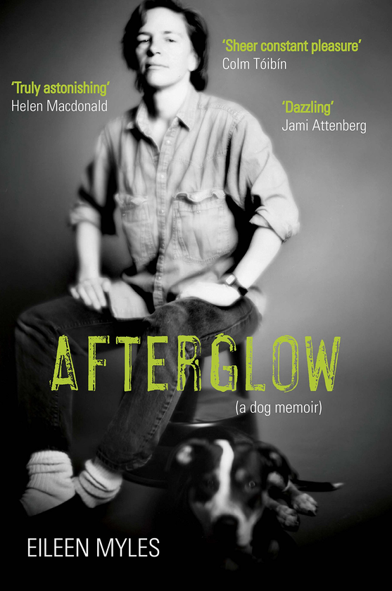 Бумажная книга «Afterglow. A Dog Memoir», автор Эйлин Майлз - фото №1