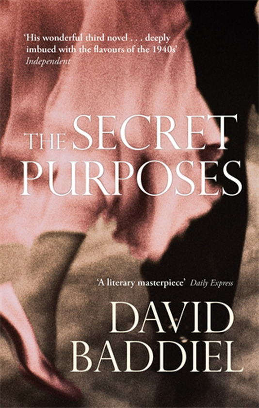 Бумажная книга «The Secret Purposes», автор Дэвид Бэддил - фото №1