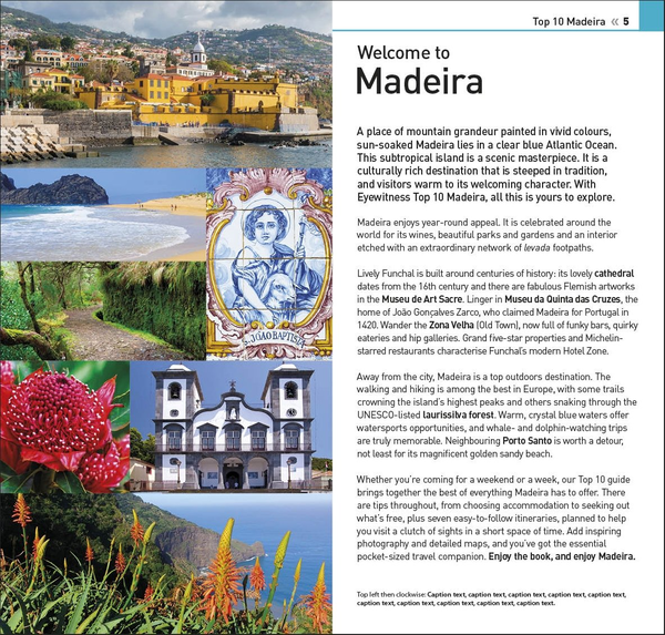 Бумажная книга «Madeira» - фото №1