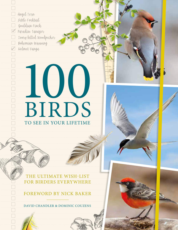 Бумажная книга «100 Birds to See in Your Lifetime: The Ultimate Wish-list for Birders Everywhere», автор Дэвид Чандлер - фото №1
