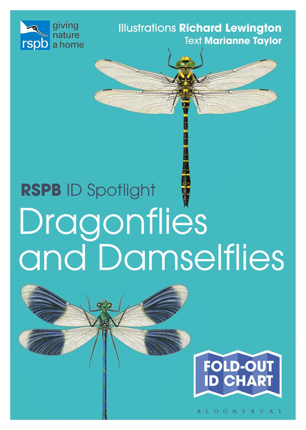 Бумажная книга «RSPB ID Spotlight - Dragonflies and Damselflies», автор Марианна Тейлор - фото №1