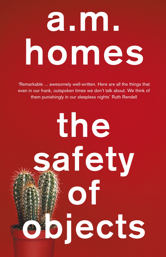 Бумажная книга «The Safety Of Objects», автор Эми М. Хоумс - фото №1