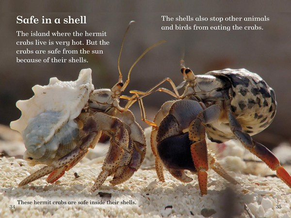Бумажная книга «BBC Earth: Where Animals Live - Ladybird Readers Level 3» - фото №1