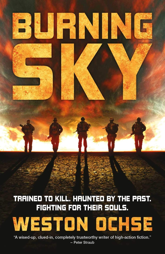 Паперова книга «Burning Sky», автор Вестон Окс - фото №1