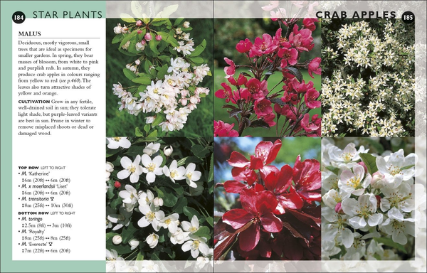[object Object] «RHS Gardening Month by Month. What to Do When in the Garden» - фото №2 - миниатюра