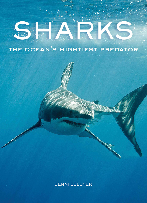 Бумажная книга «Sharks. The Ocean's Mightiest Predator», автор Дженни Зеллнер - фото №1