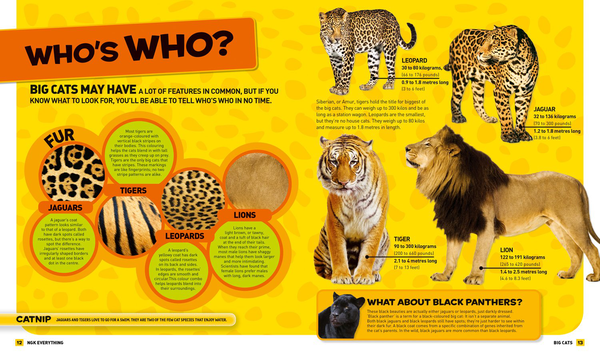 [object Object] «Everything: Big Cats», автор National Geographic Kids - фото №4 - миниатюра