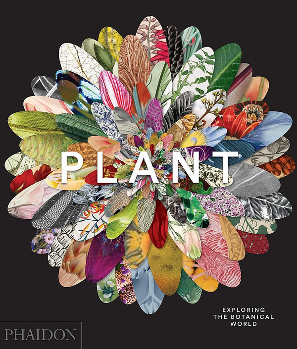 Бумажная книга «Plant: Exploring the Botanical World» - фото №1
