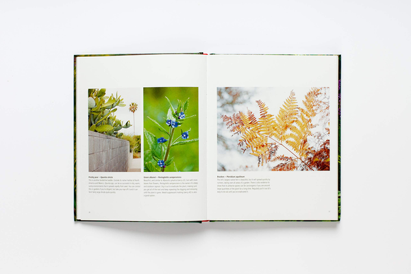 Паперова книга «Wild about Weeds. Garden Design with Rebel Plants», автор Джек Воллінгтон - фото №1
