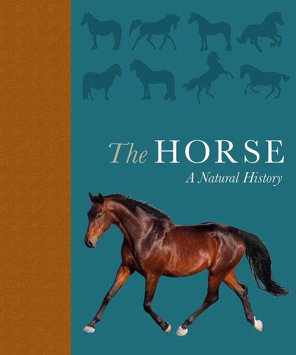 Бумажная книга «The Horse. A natural history», авторов Дебби Басби, Кэтрин Ратленд - фото №1