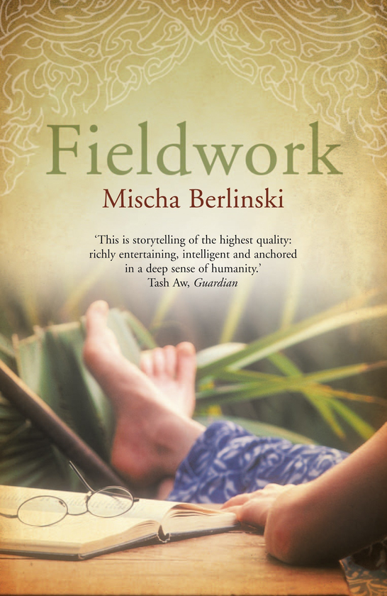 Бумажная книга «Fieldwork», автор Миша Берлински - фото №1