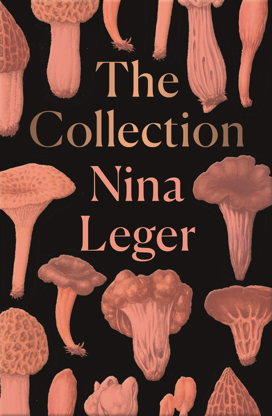 Бумажная книга «The Collection», автор Нина Леже - фото №1