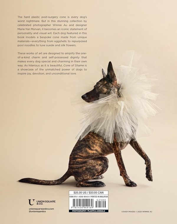 [object Object] «Cone of Shame», автор Вінні Ау - фото №2 - мініатюра