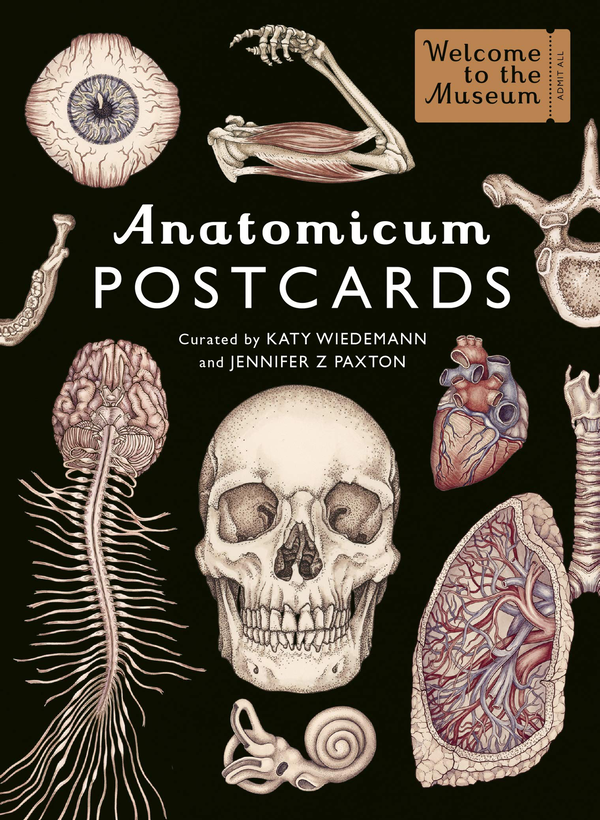 Паперова книга «Anatomicum Postcard Box», автор Дженніфер Пакстон - фото №1