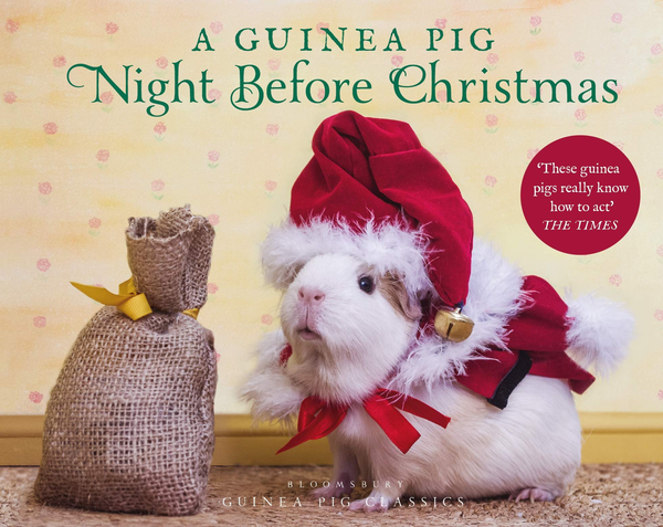 Бумажная книга «A Guinea Pig Night Before Christmas», авторов Клемент Кларк Мур, Тесс Ньюолл - фото №1