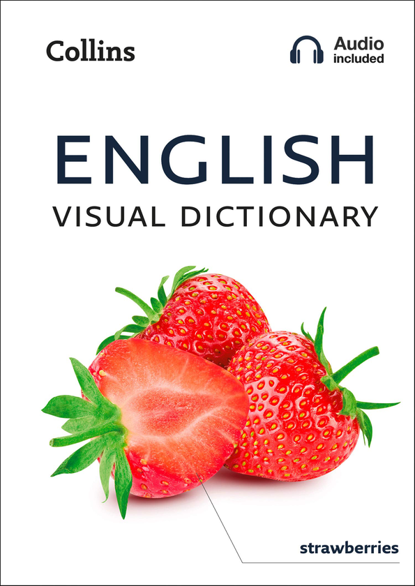 Бумажная книга «English Visual Dictionary» - фото №1