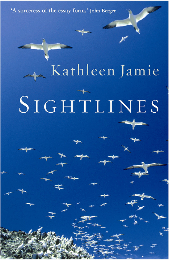 Бумажная книга «Sightlines», автор Кэтлин Джейми - фото №1