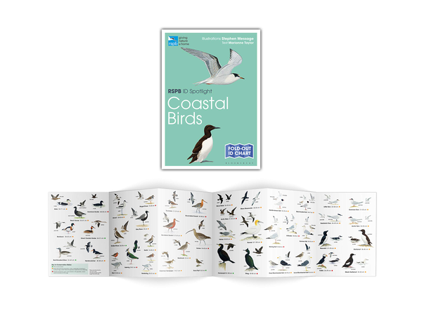 Бумажная книга «RSPB ID Spotlight. Coastal Birds», автор Марианна Тейлор - фото №1
