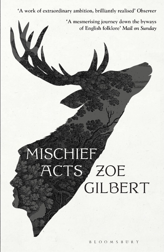 Бумажная книга «Mischief Acts», автор Зои Гилберт - фото №1