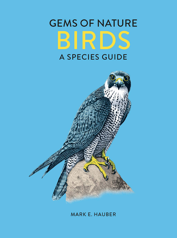 Бумажная книга «Birds. A Species Guide», автор Марк Хаубер - фото №1