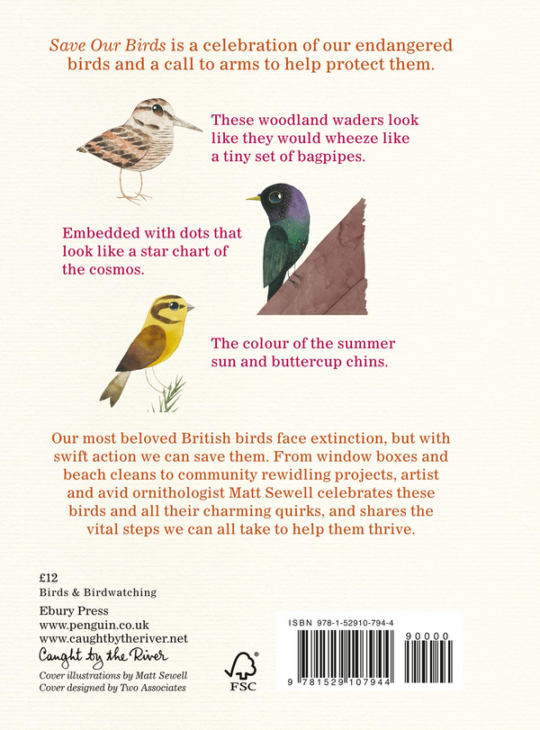 Бумажная книга «Save Our Birds», автор Мэтт Сьюэлл - фото №1