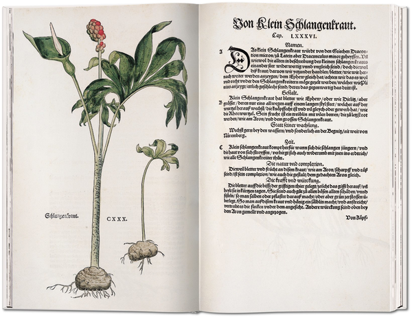 Бумажная книга «Leonhart Fuchs: The New Herbal of 1543», автор Вернер Дрессендорфен - фото №1
