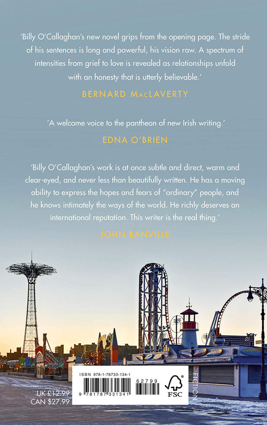 Паперова книга «My Coney Island Baby», автор Біллі О'Каллаган - фото №1
