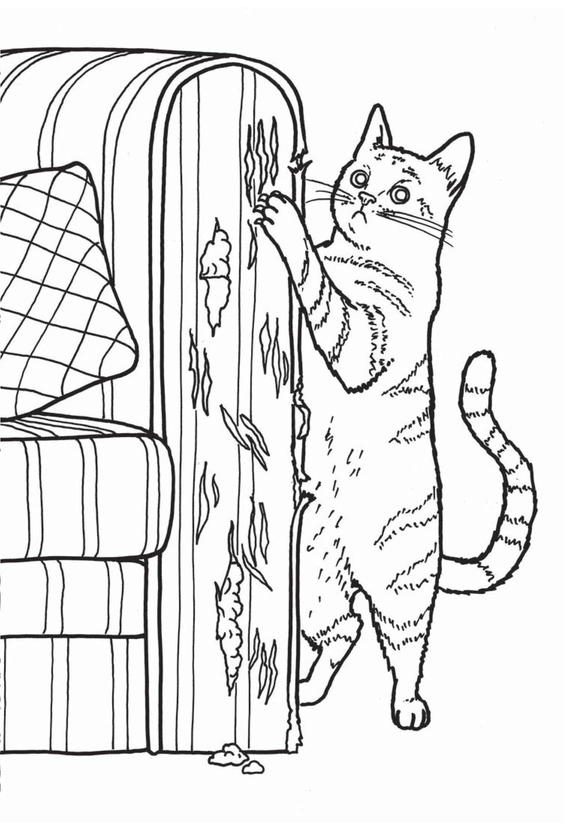 Бумажная книга «Crap Colouring In: Mindless Art Therapy for Modern Life », автор Джо Самнер - фото №1