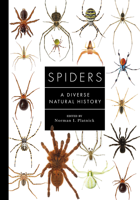 Бумажная книга «Spiders. A Diverse Natural History », автор Норман Платник - фото №1