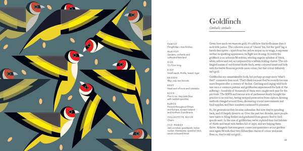 Паперова книга «I Like Birds: A Guide to Britain's Avian Wildlife », автор Стюарт Кокс - фото №1