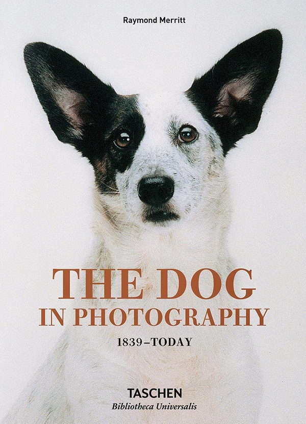 Паперова книга «The Dog in Photography 1839-Today», автор Реймонд Меррітт - фото №1