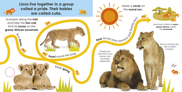 Бумажная книга «Follow the Trail Wild Animals. Take a Peek! Fun Finger Trails!» - фото №1