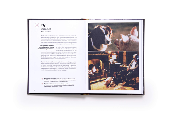 Паперова книга «Citizen Canine. Dogs in the Movies», автор Венді Мітчелл - фото №1