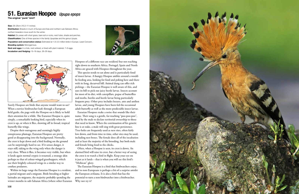 Бумажная книга «100 Birds to See in Your Lifetime: The Ultimate Wish-list for Birders Everywhere», автор Дэвид Чандлер - фото №1