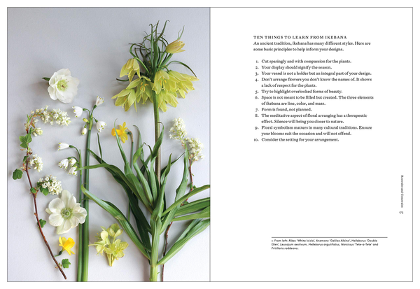Паперова книга «Cultivated», автор Крістін Гілл - фото №1
